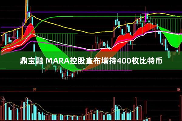 鼎宝融 MARA控股宣布增持400枚比特币