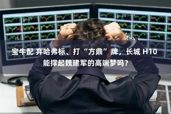 宝牛配 弃哈弗标、打 “方鼎” 牌，长城 H10 能撑起魏建军的高端梦吗？