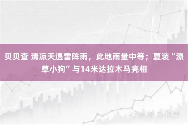 贝贝查 清凉天遇雷阵雨，此地雨量中等；夏装“潦草小狗”与14米达拉木马亮相