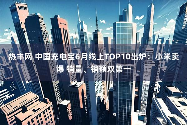 热丰网 中国充电宝6月线上TOP10出炉：小米卖爆 销量、销额双第一